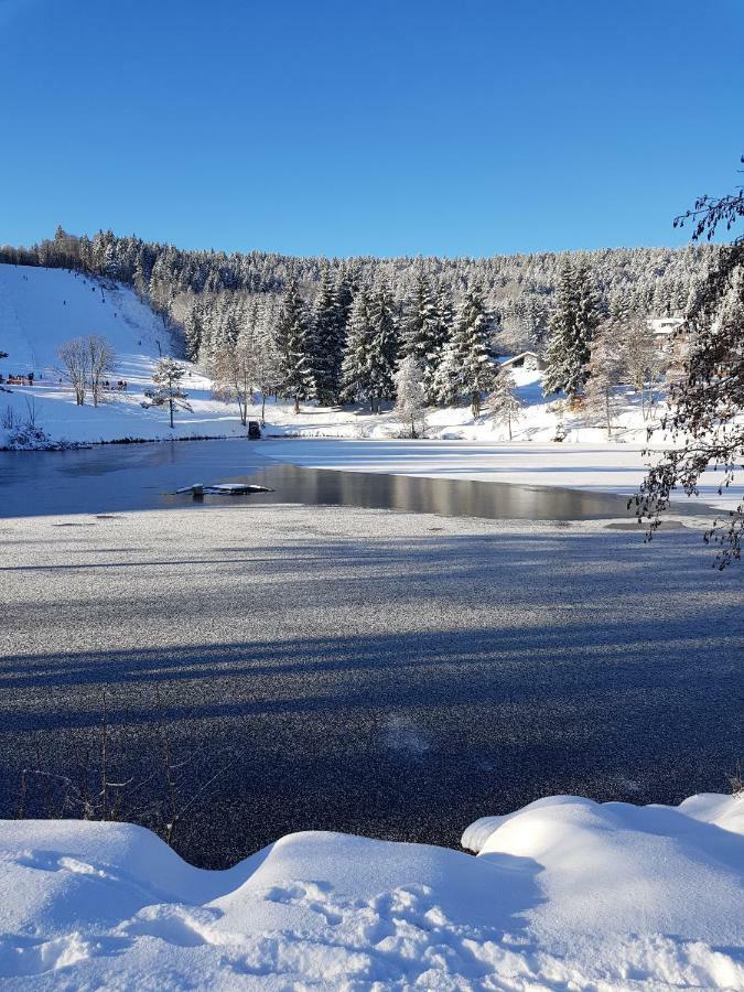 شقة Jules Traum Im Schwarzwald Herrischried المظهر الخارجي الصورة