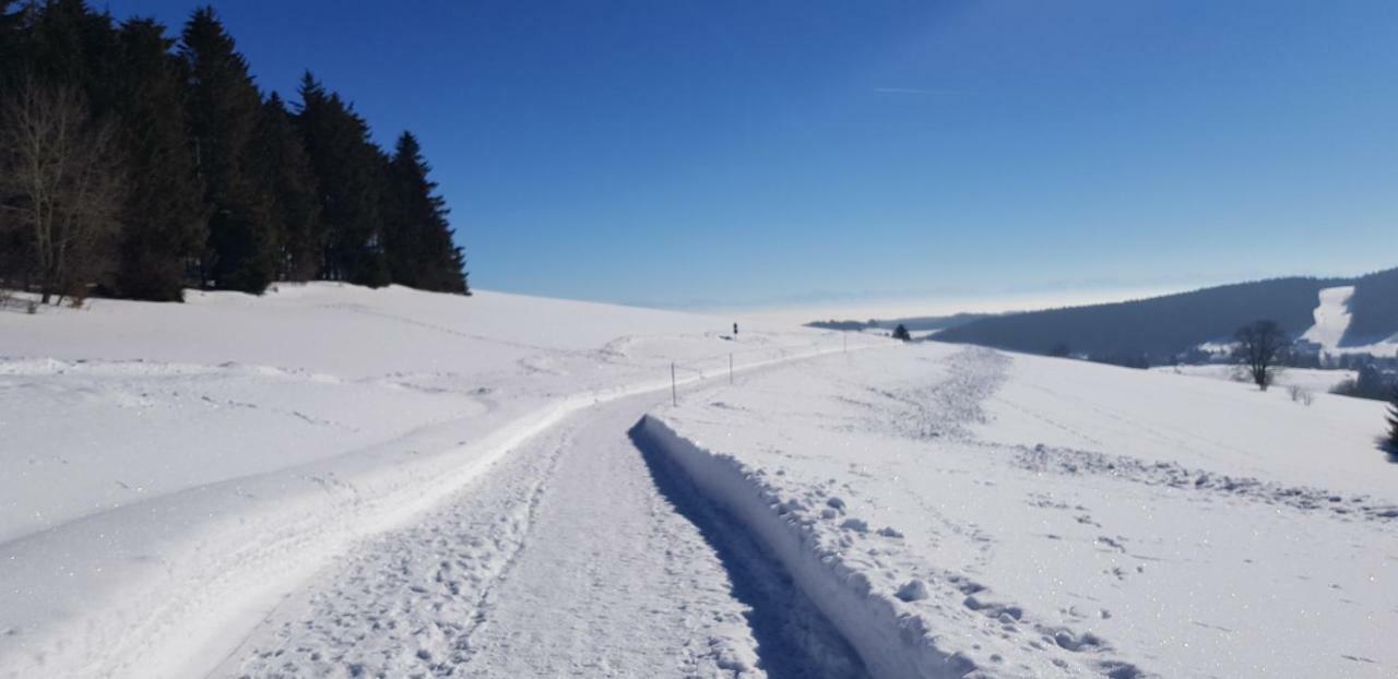 شقة Jules Traum Im Schwarzwald Herrischried المظهر الخارجي الصورة