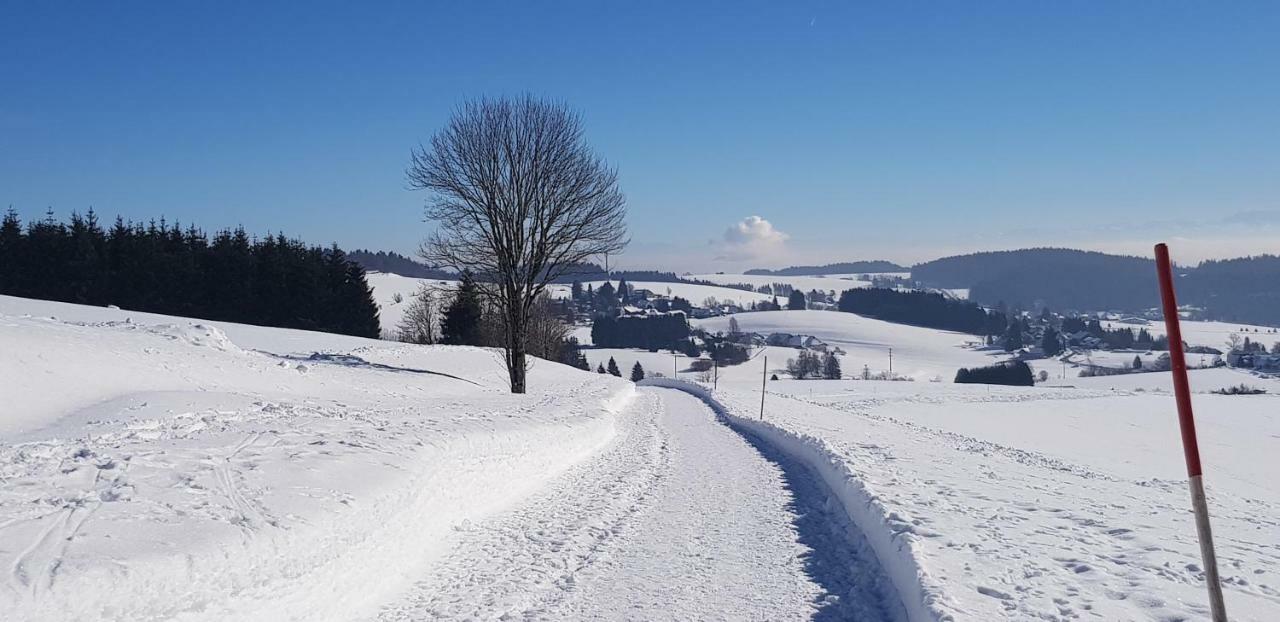 شقة Jules Traum Im Schwarzwald Herrischried المظهر الخارجي الصورة